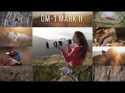 OM-1 Mark II | REVIEW | Photography & Filming