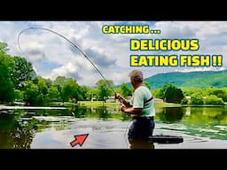 CATCHING the MOST DELICIOUS FISH to EAT using CRICKETS for BAIT !! (HOOK and BOBBER)