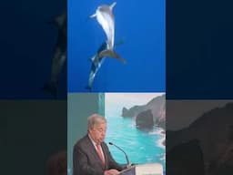 The High Seas Treaty is our best hope