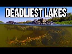 Ranking 7 Of The Most Dangerous Lakes In The World Based On Their Wildlife