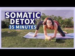 Somatic Yin Yoga Full Body |  Detoxing Cortisol + Vagus Nerve Toning 35 minutes