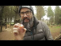Camping Gear That Really Enhanced My Overnight Experience