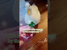 Click to receive blessing 💸🦆💸