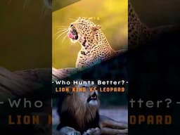 Lion King vs. Leopard , who's better ?