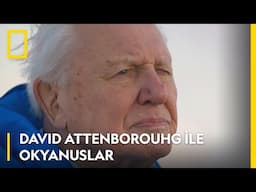 David Attenborough ile Okyanuslar | 10 Haziran Salı 20.00 | National Geographic