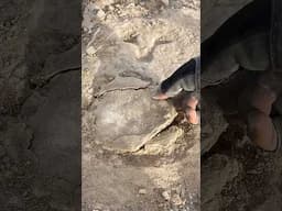 #metaldetecting #treasuresearch #metaldetector