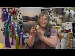 Fun Needle Felted Guinea Pig Tutorial