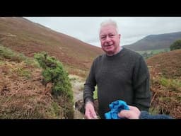 Coming This Friday - Vanlife Escapes - Newlands ~ Campervan Tales