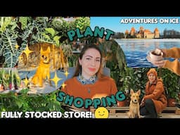 Awesome deals while plant shopping in big box store! Great prices and adventures outdoors 🌿🐕
