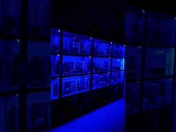 Loving my new lights 💙 #booktok #booktube #booktubecommunity #shorts #lightshow #readinglife