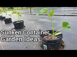 Sunken Container Garden for Cucumbers and Other Plants