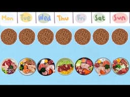 IS FRESH DOG FOOD BETTER THAN DRY?