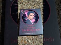 Glamlite x Twilight Edward Cullen Palette!!!