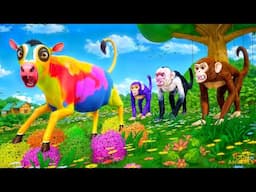 3 Monkeys Chase Colorful Cow Calf! Funny Animals Pranks Gone Wild