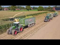 Mais 2024 / Krone Big X 1180 / Busche Estorf / Maize silage