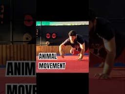 Animal Movements