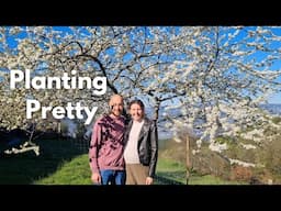 Transforming our Garden & Plans for the Nursery