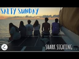 Visited By A Shark While Bow Dragging?! (Salty Sunday Ep. 2)