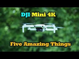 Five Amazing Things About The DJI Mini 4K Drone