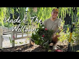 Sunflowers, Shade Plants, and a Sneak Peek at the Secret Garden || Visit Our Garden