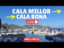 🔴 LIVE in Cala Millor & Cala Bona (Majorca) | 14 June 2025