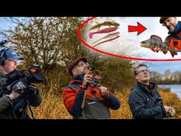 Visblad TV: cheburashka & kickback rig
