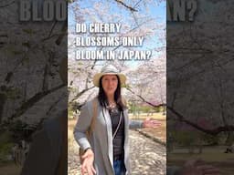 Do cherry blossoms only bloom in Japan?