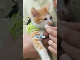ORKUN TARAFINDAN SEVİLDİN Mİ?