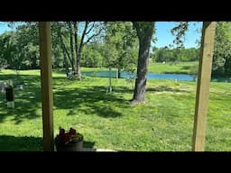 Blue Pond Dye! #homestead #ponds
