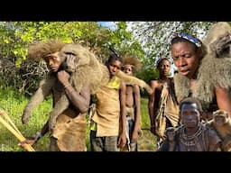 Discover Hadzabe Tribe Baboon MONKEY Hunt | hunters life