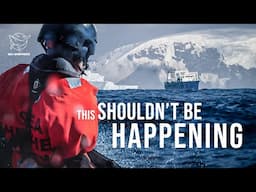 Our First Days in Antarctica’s Krill Warzone