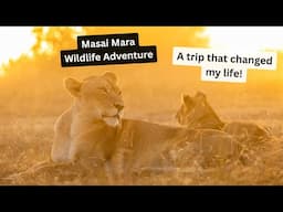 Wildlife Photography in the Masai Mara, Part 1. The Safari of a LIFETIME, a trip that changed it all