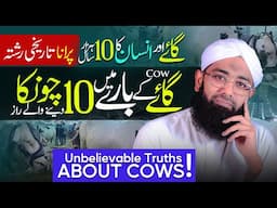 SHOCKING Facts about COW | Benefits of Cow Milk | Red Meat | Gosht ke Fayde | Soban Attari