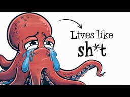 Why It Sucks To Be An Octopus (too smart for its own good)