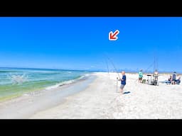 Surf Fishing Gulf Shores, AL And Caught Dinner! *Book Your Fishing Trip Today!*