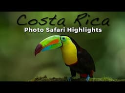 Costa Rica Photo Safari Highlights