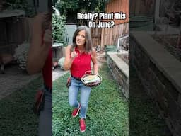 Plant this in June?