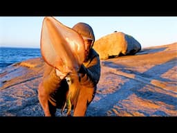 Southern Calamari Catch and Cook