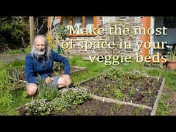 How we make the most of the limited space in our vegetable beds by 'stacking in time'