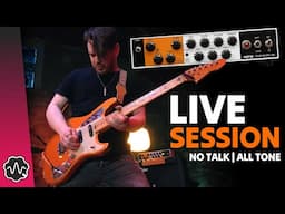 Orange Baby Live Session - No Talk | All Tone
