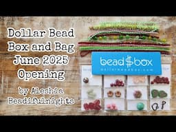 Dollar Bead Box and Bag June 2025 Opening