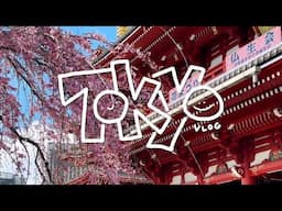 2 weeks in tokyo! 🇯🇵 sakura season, my first omakase, daytrip to hakone!