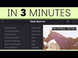 DaVinci Resolve Data Burn-In in 3 Minutes