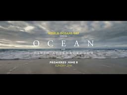 Ocean With David Attenborough | Premieres 8th June | National Geographic