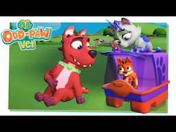 Squedged in There! BRAND NEW Odd-Paw Vet 🐾  Animal Hospital Vet 🐾 Kid-friendly Animal Cartoons