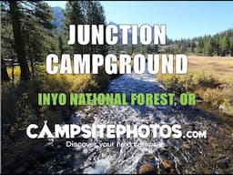 Junction Campground - Inyo National Forest, CA