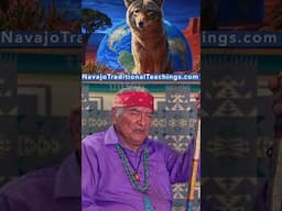 Coyote The Rainmaker II #americanindian #navajo #culture #indigenous