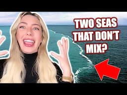Did Scientists Just Confirm This Quran Verse? (Dawah with Lily Jay!)