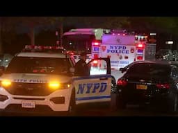 Cops Shoot and Kill a Driver Who Fled Car Stop, Hit Lieutenant with Vehicle - Brooklyn
