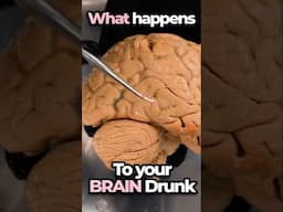Ever Wonder Why You Act Differently After Some Booze?